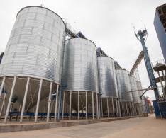 DSC05640-Mejorado-NR